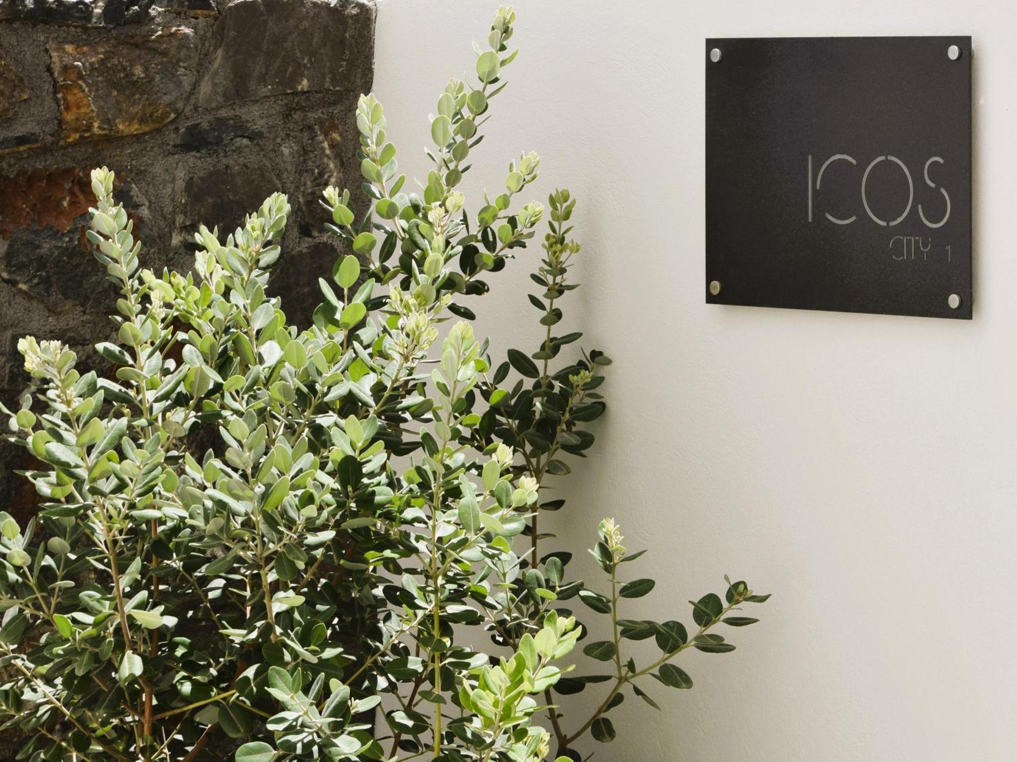 Apartmán Icos 1 Hersonissos (Crete)